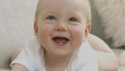 ɽ|СŘ(sh)׃Ʒ޹˾2