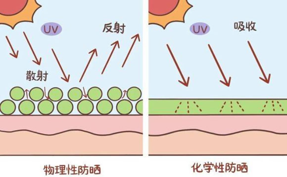 特膳食品的區(qū)別.jpg 特膳食品的區(qū)別.jpg