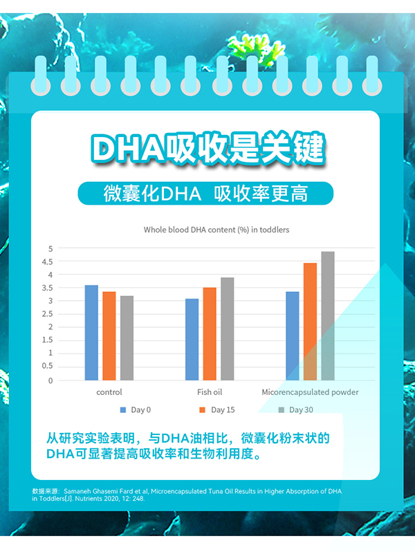 動力寶寶多肽DHA_05.jpg