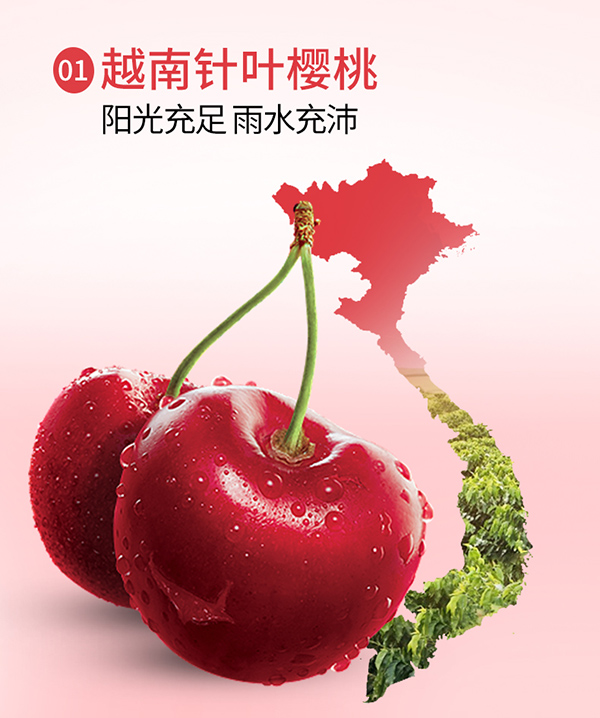 英貝健針葉櫻桃維生素C飲品 (5).jpg