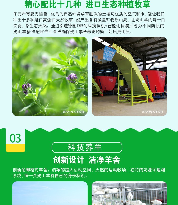 羴羊羊植物甾醇中老年配方羊奶粉400g詳情介紹 (4).jpg