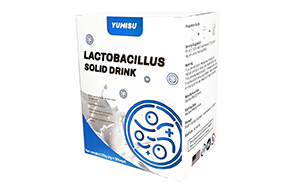渝敏舒乳桿菌固體飲料