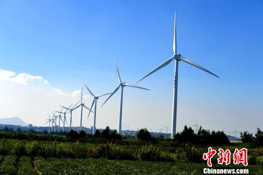 莆田沿海整齊的風(fēng)力發(fā)電設(shè)備?！⊥鯑|明 攝