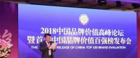 長(zhǎng)江電力榮登2017年中國品牌價(jià)值百強(qiáng)榜