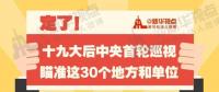 定了！華電集團(tuán)、中核集團(tuán)將接受十九屆中央第一輪巡視