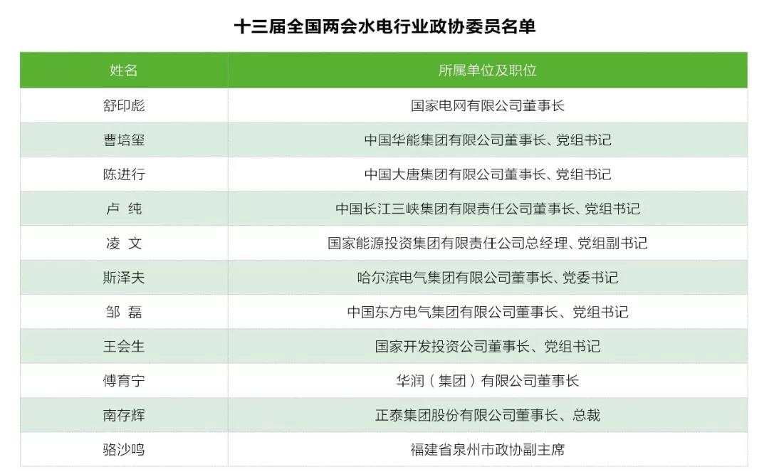 兩會觀察｜水電篇：消納難題何解？