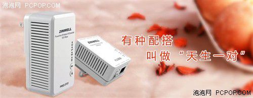 電力貓的版本眾多，從電力線傳輸技術(shù)上就可以分為HomePlug和G.hn，采用相同電力線通信技術(shù)的電力貓還可以分為有線電力貓和無線電力貓，而在無線電力貓中還有無線AP和無線路由的區(qū)別。外觀功能上的區(qū)別就更大了，以ZINWELL為例，就先后推出了單口有線電力貓，帶電源延長線的電力貓，多口有線電力貓，電力貓無線路由器，無線AP電力貓，帶電源插座的電力貓等。