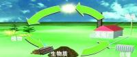 生物質(zhì)是替代核電、火電 彌補(bǔ)天然氣缺口的一種重要新能源