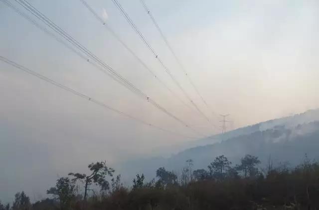 聽(tīng)說(shuō)最近輸電線路和鐵塔“火”啦！