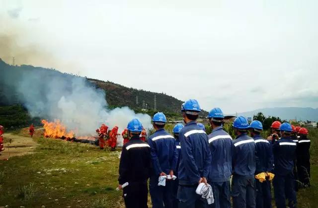 聽(tīng)說(shuō)最近輸電線路和鐵塔“火”啦！