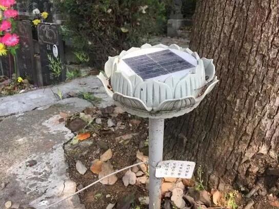 墓地傳來哭聲 周圍卻沒有人影 清明節(jié)你被光伏嚇著了嗎？