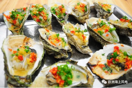 維斯塔斯海上風(fēng)機(jī)搞創(chuàng)新：居然還用到生蠔！