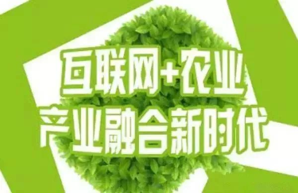 互聯(lián)網(wǎng)+農(nóng)業(yè)，6大創(chuàng)業(yè)方向是…