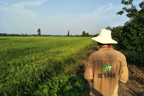 “AI+遙感”覬覦萬億級智慧農(nóng)業(yè)市場，這次沒有中間商賺差價 