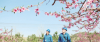 世界一流能源互聯(lián)網(wǎng)企業(yè)怎么建？國(guó)網(wǎng)已簽訂39個(gè)增量配電試點(diǎn)項(xiàng)目合作意向書(shū)