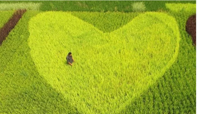 互聯(lián)網(wǎng)給農(nóng)民農(nóng)業(yè)帶來了什么？本文告訴你！