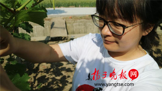 一個“80”后研究生的“綠色農(nóng)業(yè)夢”：用“互聯(lián)網(wǎng)+”思維做農(nóng)業(yè)，新型職業(yè)農(nóng)民“潮”起來