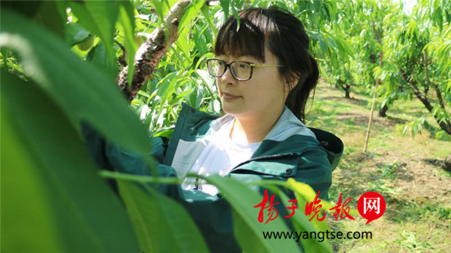 一個“80”后研究生的“綠色農(nóng)業(yè)夢”：用“互聯(lián)網(wǎng)+”思維做農(nóng)業(yè)，新型職業(yè)農(nóng)民“潮”起來