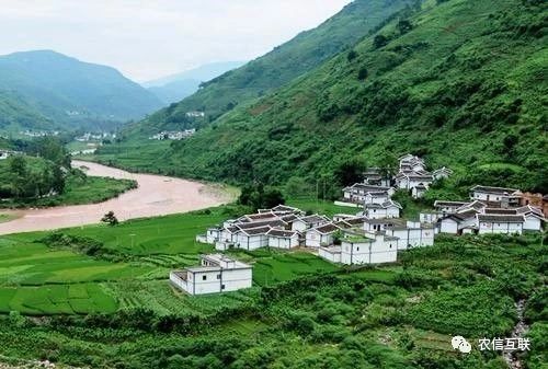 移動互聯(lián)網(wǎng)走進(jìn)農(nóng)村，推動農(nóng)業(yè)產(chǎn)業(yè)的智慧化轉(zhuǎn)型升級 