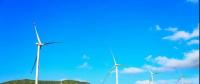 好一個龐然大物！欽州這個風電站建成這樣啦！