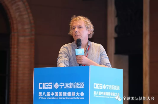 能源互聯(lián)網—實現(xiàn)零碳排放可持續(xù)性的多能源方法