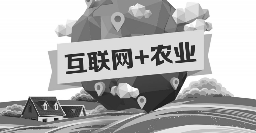 A5創(chuàng)業(yè)項(xiàng)目推薦：互聯(lián)網(wǎng)+農(nóng)業(yè)能碰撞出怎樣的新發(fā)展？
