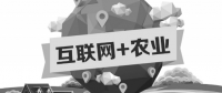 A5創(chuàng)業(yè)項目推薦：互聯(lián)網(wǎng)+農(nóng)業(yè)能碰撞出怎樣的新發(fā)展？