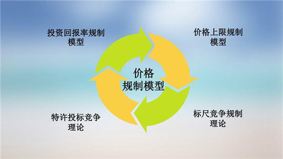 我國電力價格規(guī)制現(xiàn)狀、存在的問題及原因分析