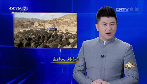 互聯(lián)網(wǎng)+農(nóng)業(yè)眾籌只賺吆喝 利潤全被用戶拿走了？