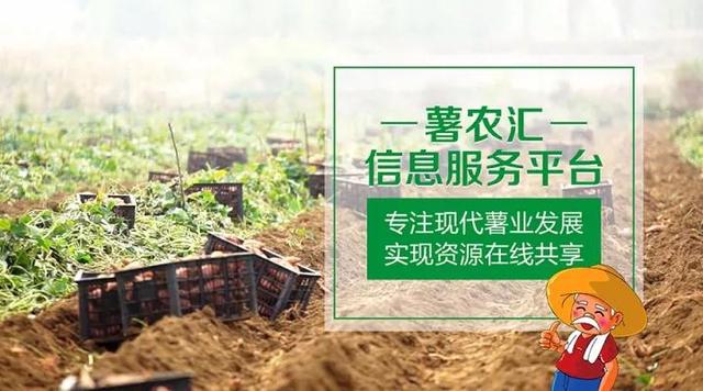 “互聯(lián)網(wǎng)+農(nóng)業(yè)”，創(chuàng)造農(nóng)村發(fā)展新活力