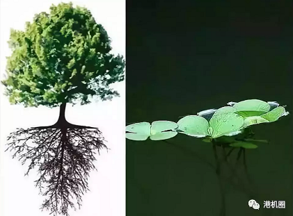 插樁式、坐底式 詳解海上風(fēng)電安裝平臺(tái)的作業(yè)方式