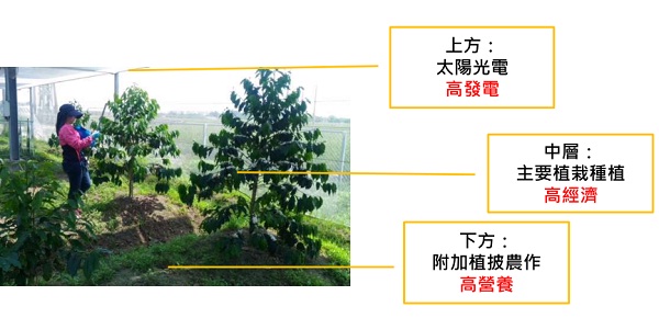 后補(bǔ)貼時(shí)代 “架高、一地多用”助力光伏平價(jià)上網(wǎng)