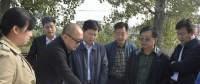 三門峽示范區(qū)增量配電項目穩(wěn)步推進 將開設大用戶售電業(yè)務