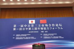 安倍晉三訪華 協(xié)鑫、天合和晶科為光伏行業(yè)長臉了！