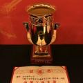 國家電網(wǎng)公司第四次榮獲中國工業(yè)“奧斯卡”獎！