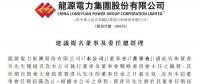 最新！龍?jiān)措娏μ崦Z彥兵擔(dān)任總經(jīng)理等職