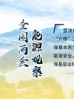 讀圖｜2020政府工作報告中這些內(nèi)容，和能源電力有關(guān)！