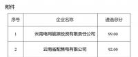2025年云南電力市場(chǎng)保底售電公司候選名單公示！